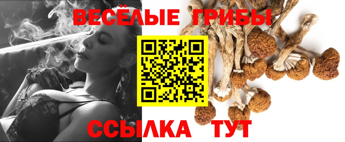 Галлюциногенные грибы MAGIC MUSHROOMS  Вход с VPN  Рузаевка  хочу   Галлюциногенные грибы прущие грибы 