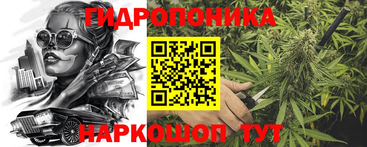 Бошки Шишки семена  Каннабис марихуана  Канабис план  Вход с VPN  Рузаевка  Каннабис конопля 